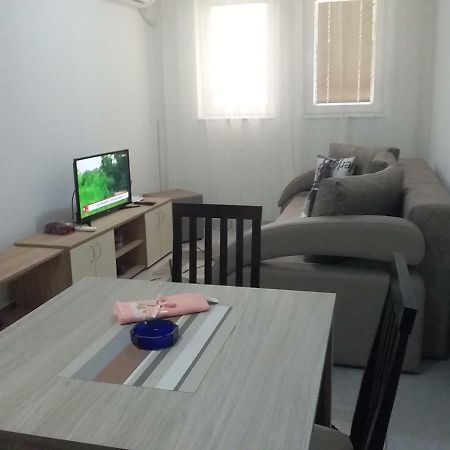 Apartman Jevtic 1 Gornja Toplica Exterior foto